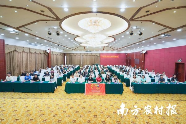 配资专业股票投资 江门举办“三支一扶”在岗培训暨红色加速营，赋能基层青年人才